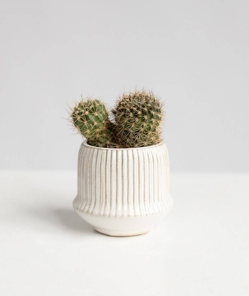 Kauf Dich Glücklich 2HAVE Sound Blumentopf (9x10) Weiü