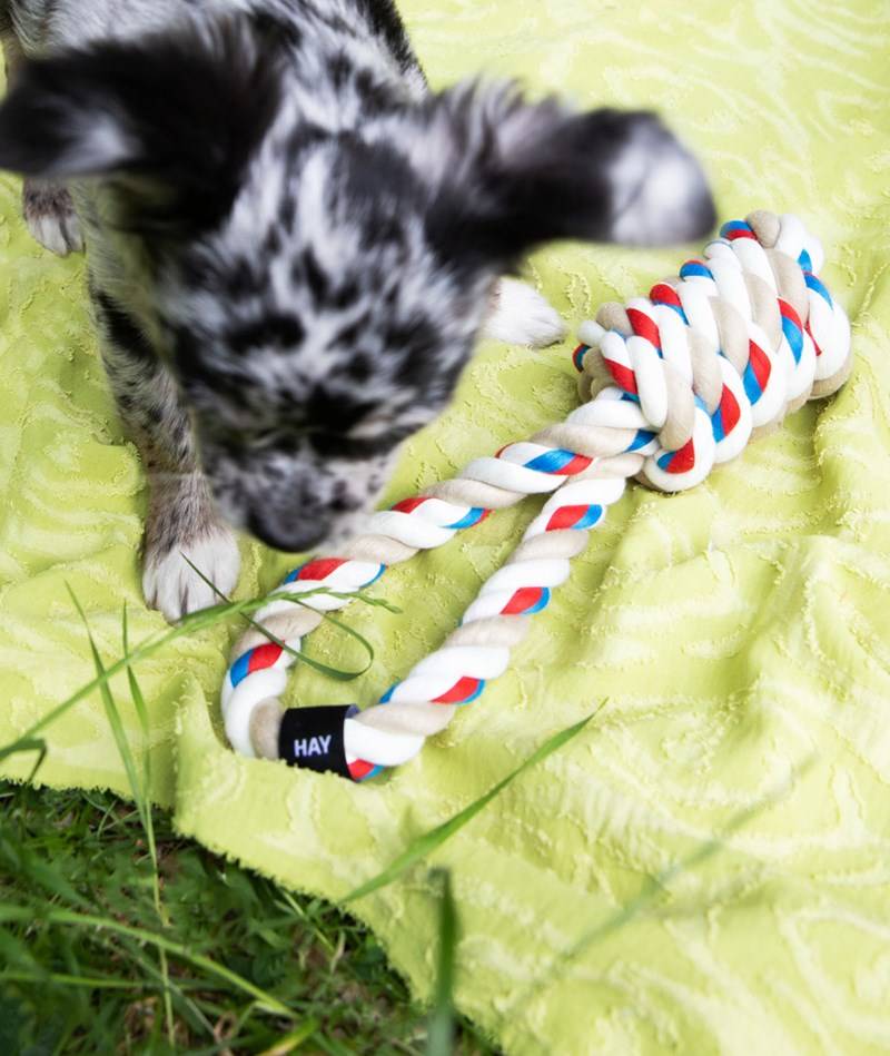 Kauf Dich Glücklich HAY Dogs Rope Toy (29x8x8) mehrfarbig