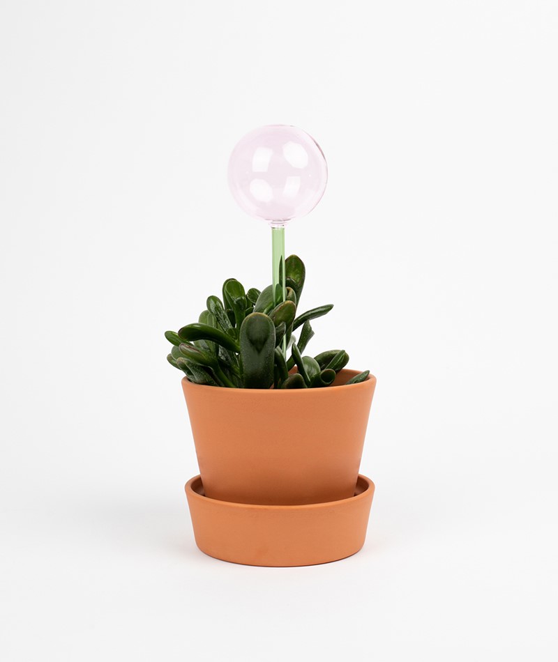 Kauf Dich Glücklich HüBSCH Flora Aqua Globe mehrfarbig