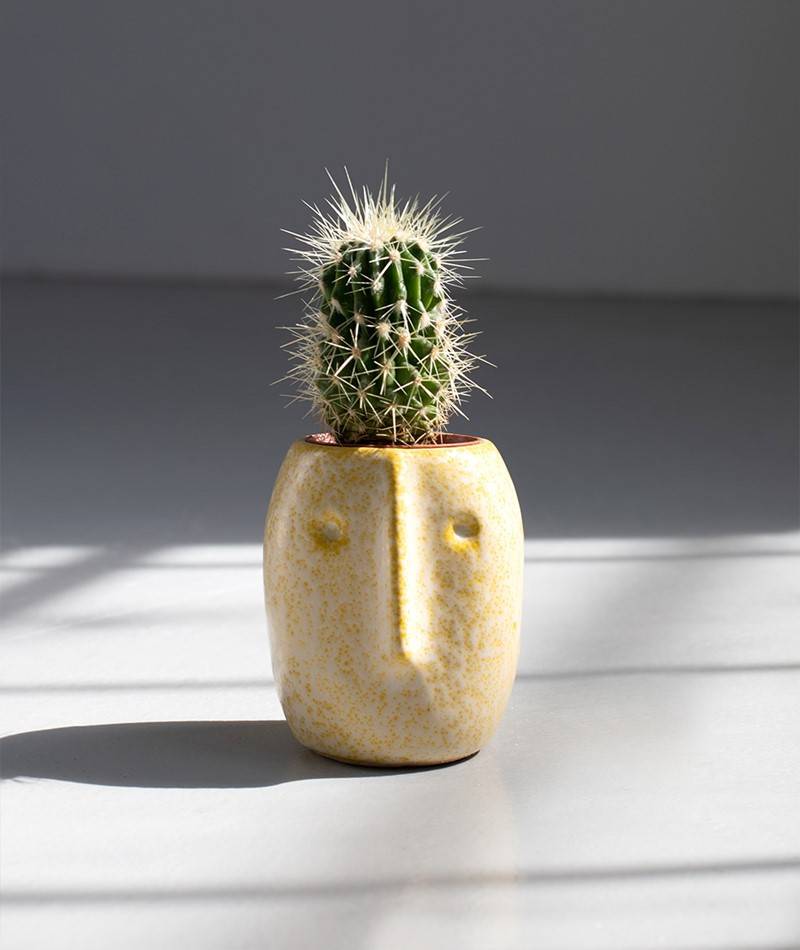 Kauf Dich Glücklich MADAM STOLTZ "Gesicht" Blumentopf gelb