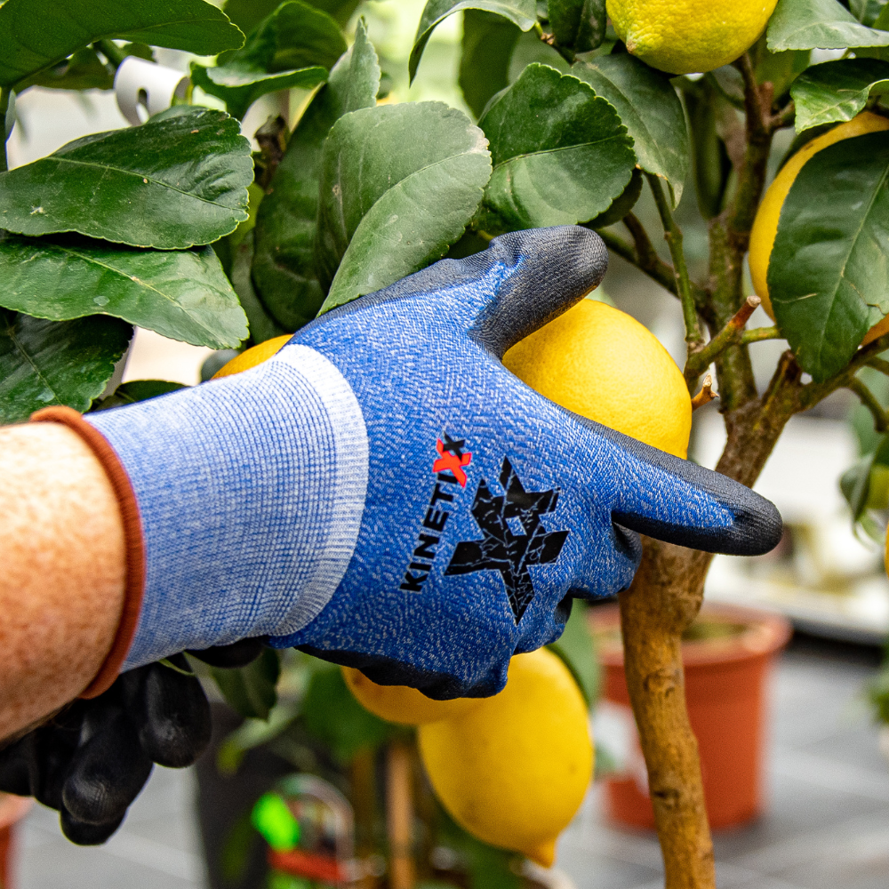 Kinetixx Touchscreen-fähige Arbeitshandschuhe X-Garden