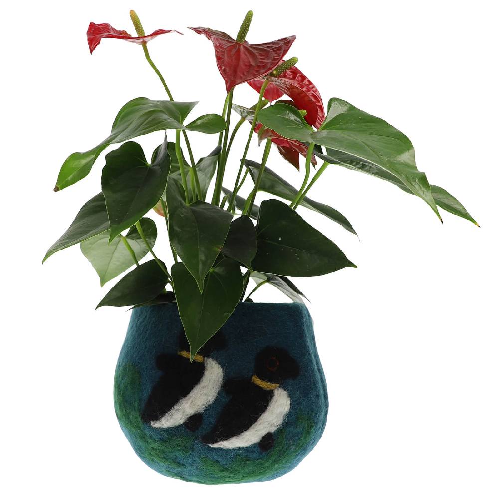 Kunst Und Magie Kunst Und Magie Filzschale Pot Blumentopf Übertopf Aus Filz