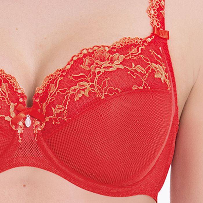 Rosa Faia COLETTE - Bügel-BH