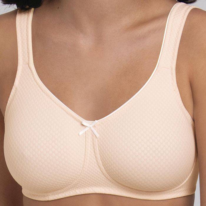 Rosa Faia LENI - Spezial-BH