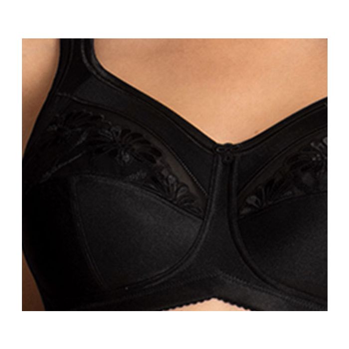 Rosa Faia SAFINA – Spezial-BH