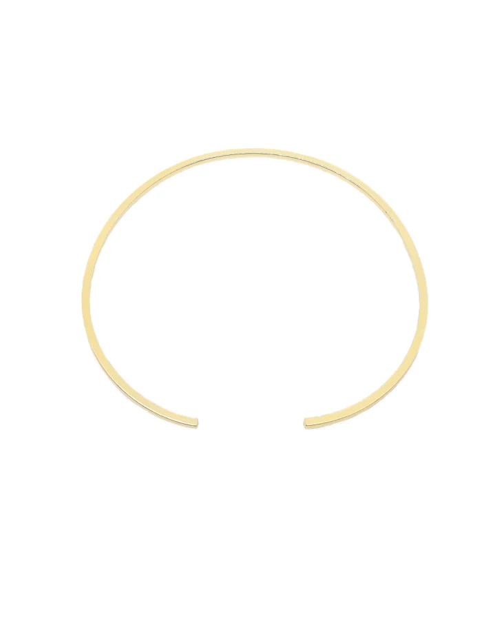 Lanius Armreif - Fejn