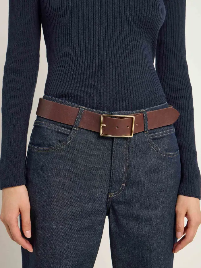 Lanius Breiter Gürtel