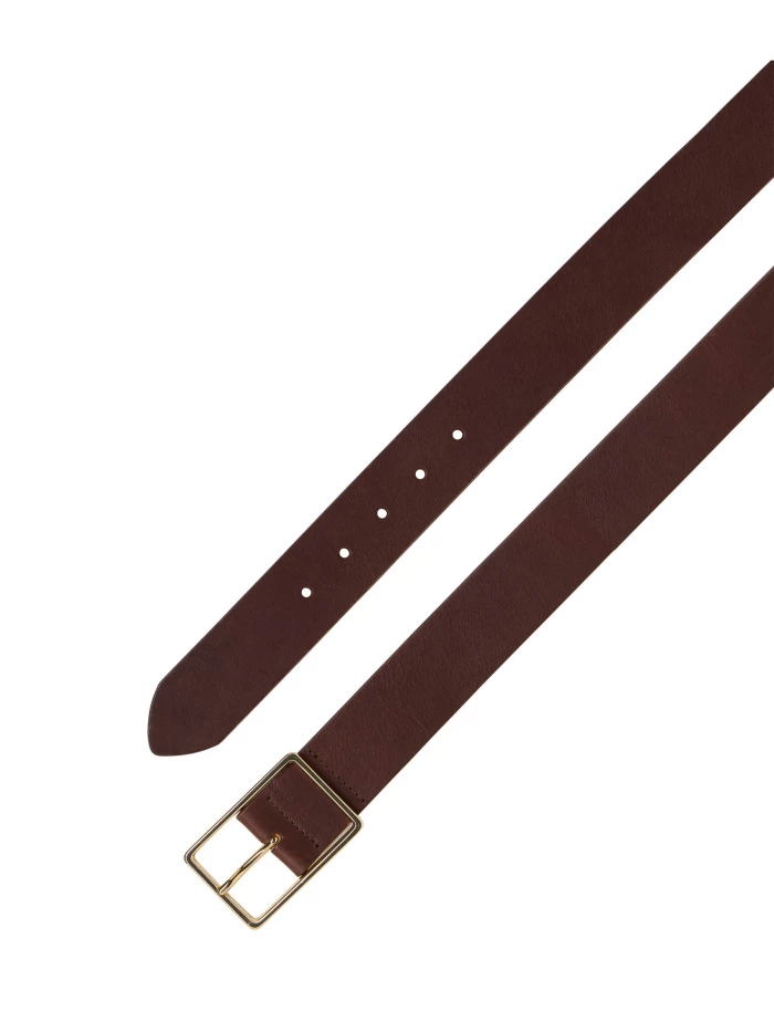 Lanius Breiter Gürtel