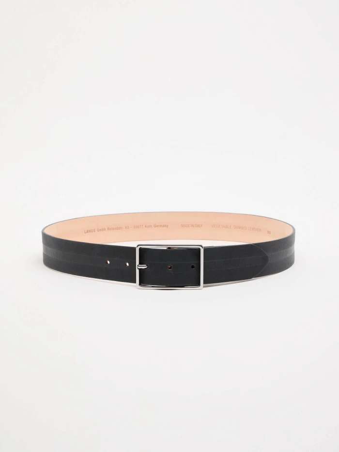 Lanius Breiter Gürtel