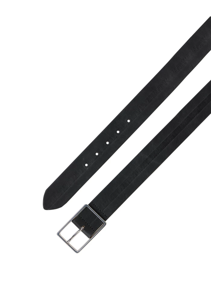 Lanius Breiter Gürtel