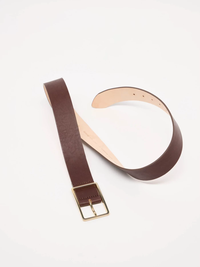 Lanius Breiter Gürtel