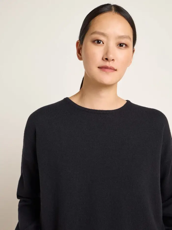 Lanius Rundhalspullover