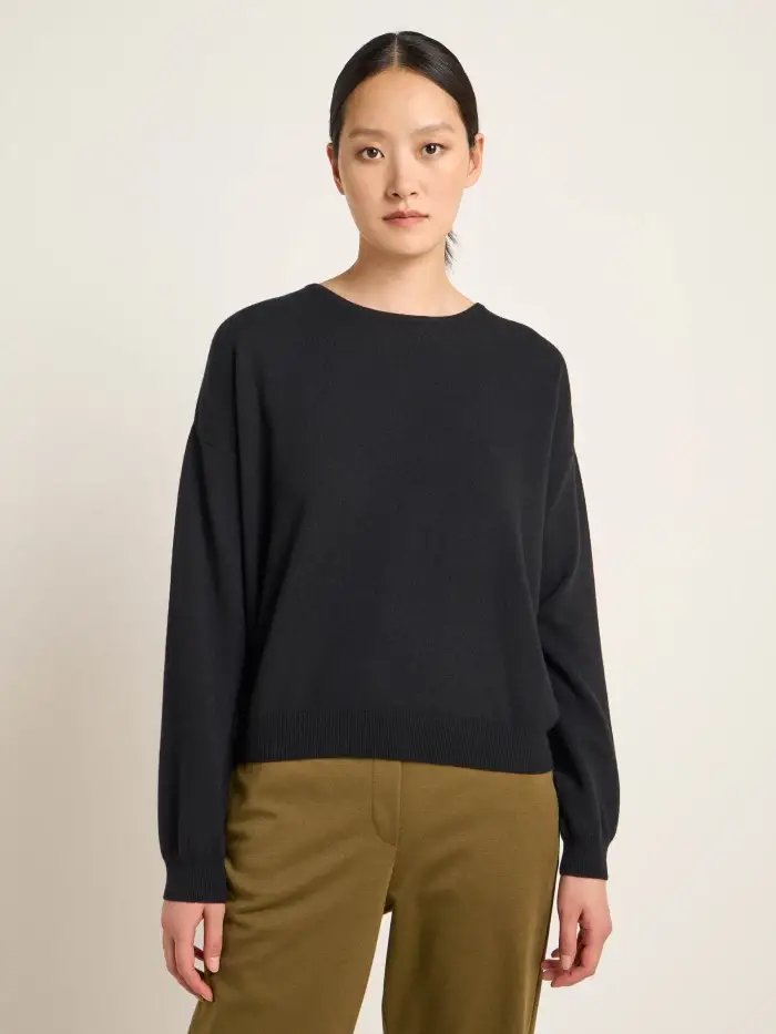 Lanius Rundhalspullover