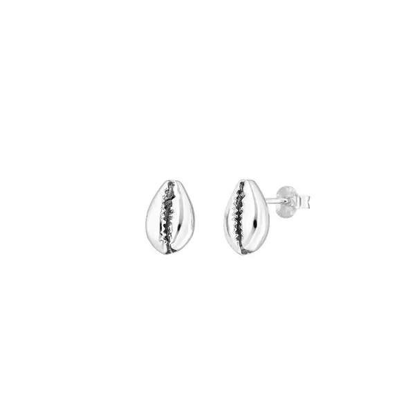 Leaf Jewelry Ohrstecker Cowrie Shell, 925 Sterlingsilber