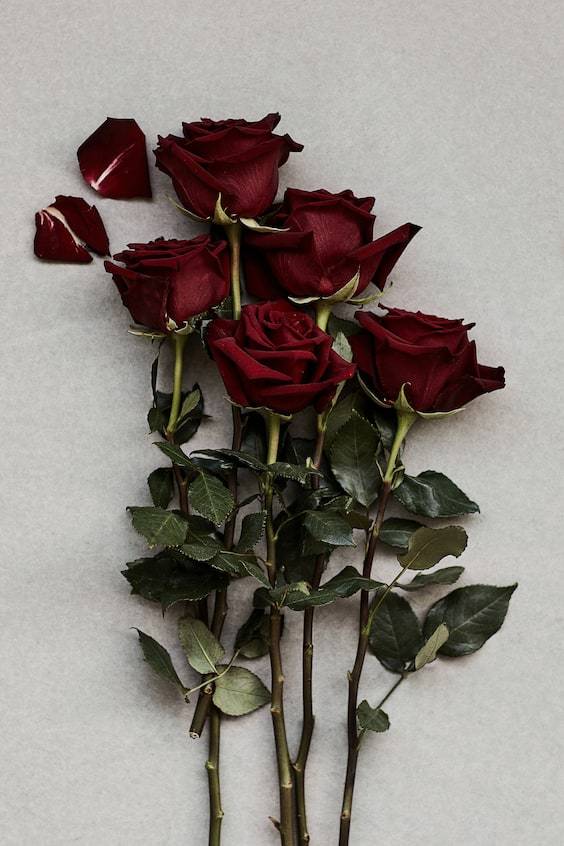 HM Hohe Vase aus Steingut