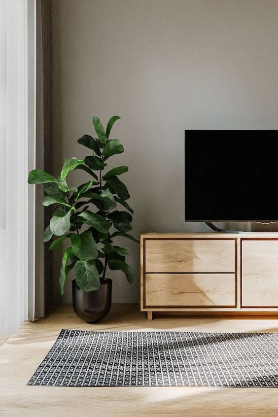 HM In- & Outdoor-teppich Lou