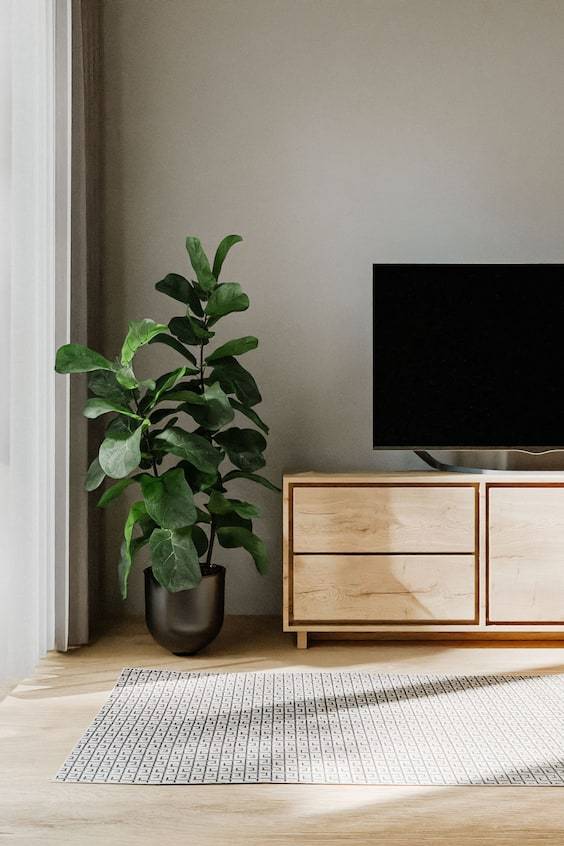 HM In- & Outdoor-teppich Lou