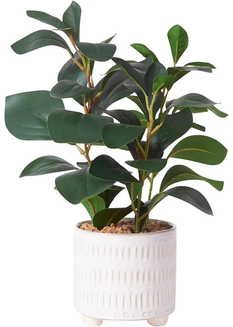 bpc living bonprix collection Kunstpflanze im Topf