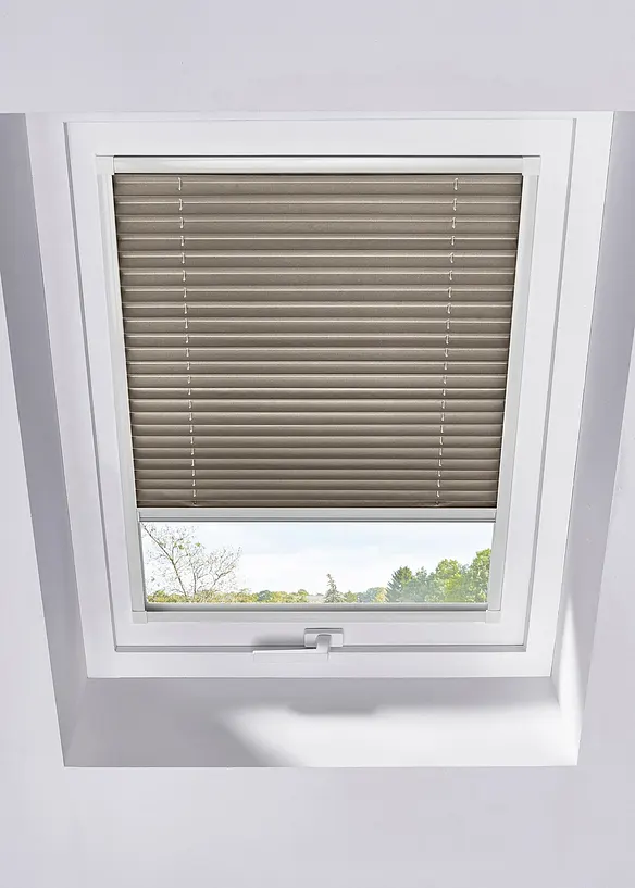 Bpc Living Bonprix Collection Dachfenster Verdunkelungsplissee