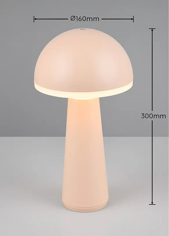 Trio Leuchten Tischleuchte Mit USB Anschluss