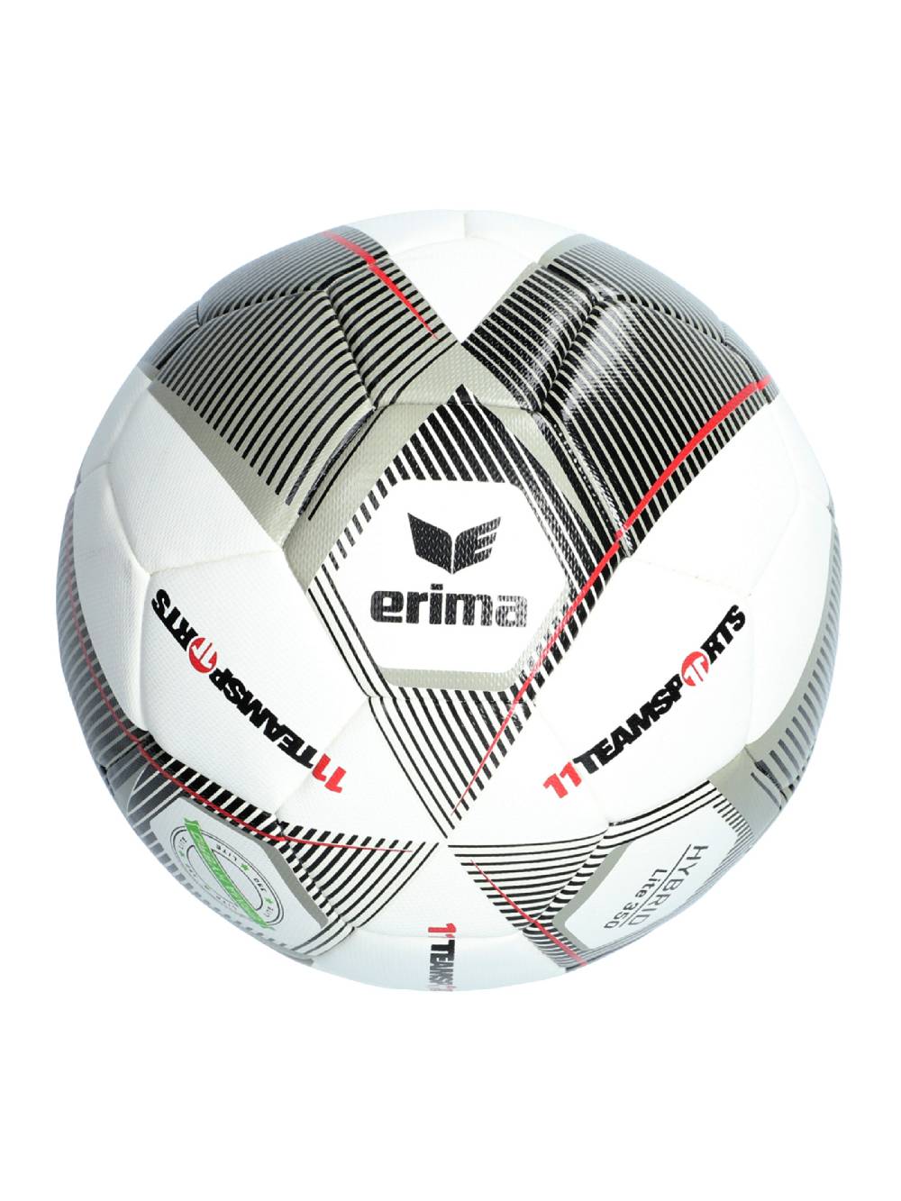 ERIMA Ball In Grey