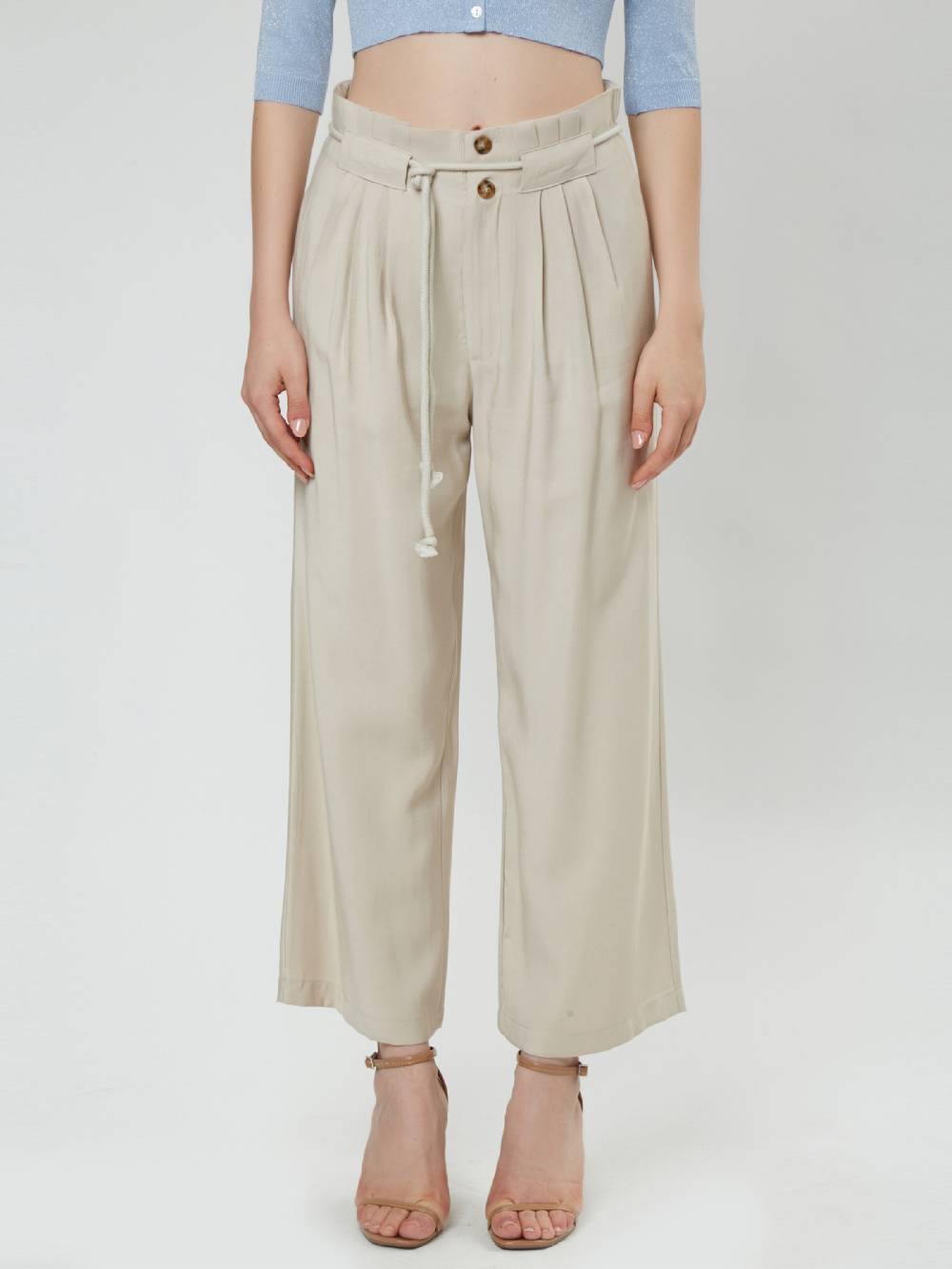 Influencer Loose Fit Pleat-Front Pants In Beige