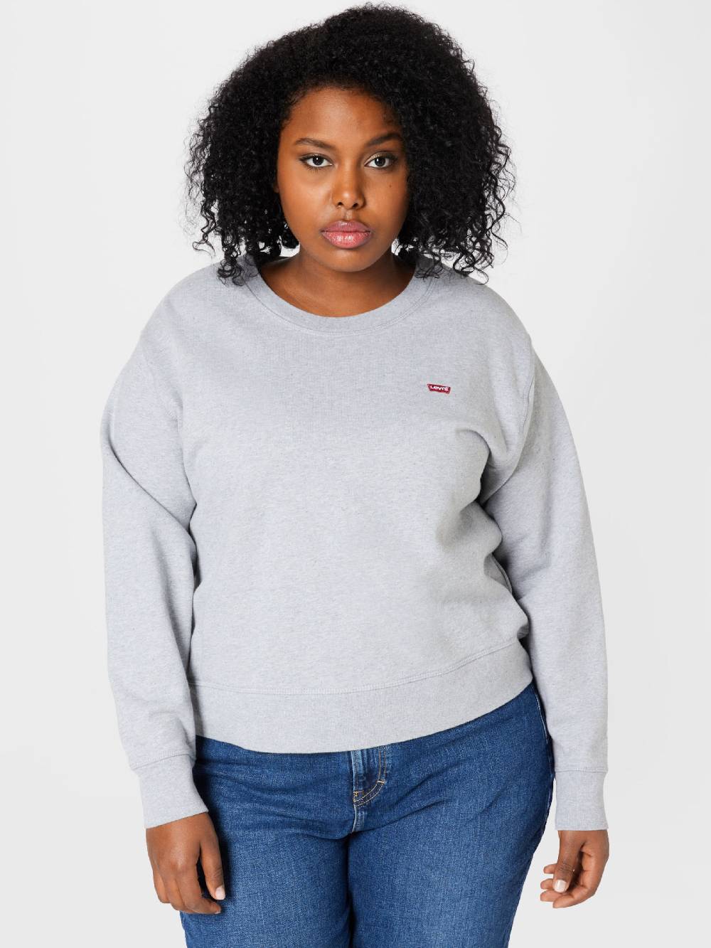 Levi's® Plus Sweatshirt 'PL Standard Crew Swtshrt' In Grey