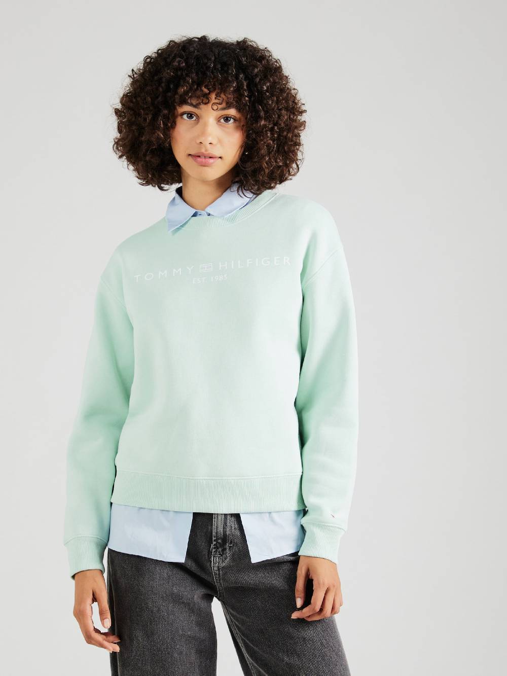 TOMMY HILFIGER Sweatshirt In Mint