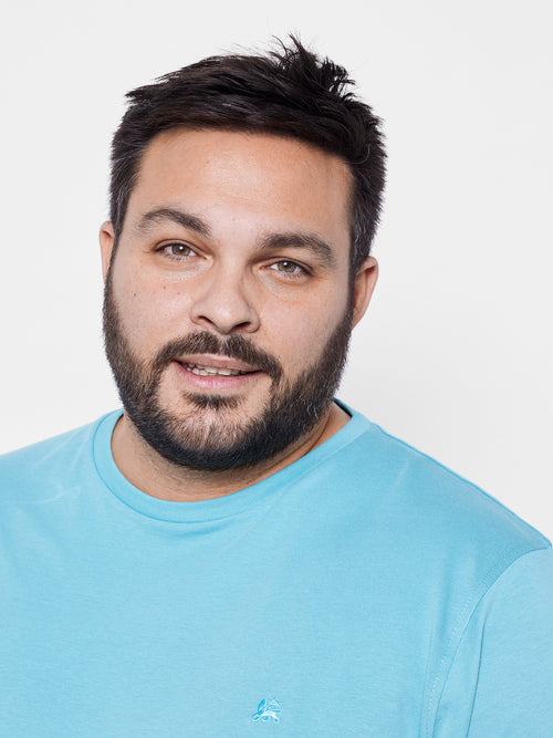 Lerros Basic T-Shirt, Multicolor