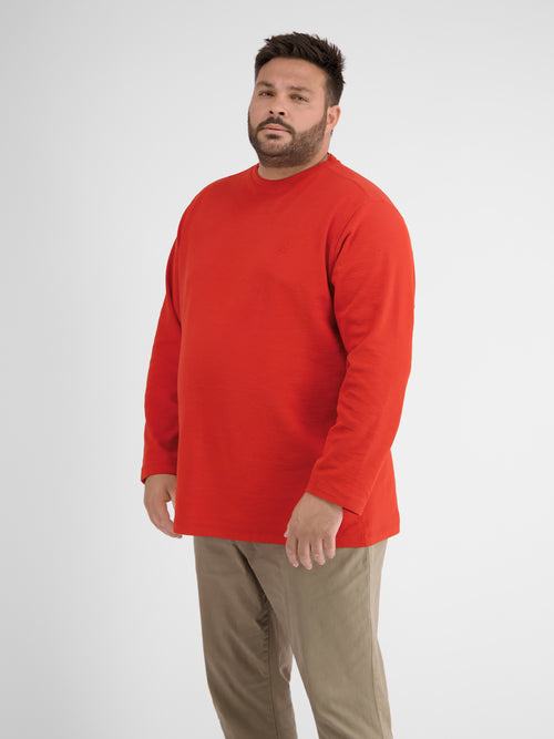 Lerros Longsleeve. Structure