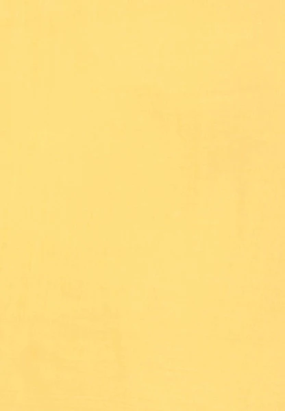 Leslii Damen-Schal Classic-Look Uni-Schal Einfarbiger Schal In Gelb