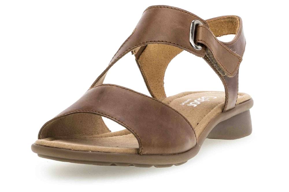 Gabor Comfort Basic Sandaletten In Übergrößen Braun 26.063.54 Große Damenschuhe