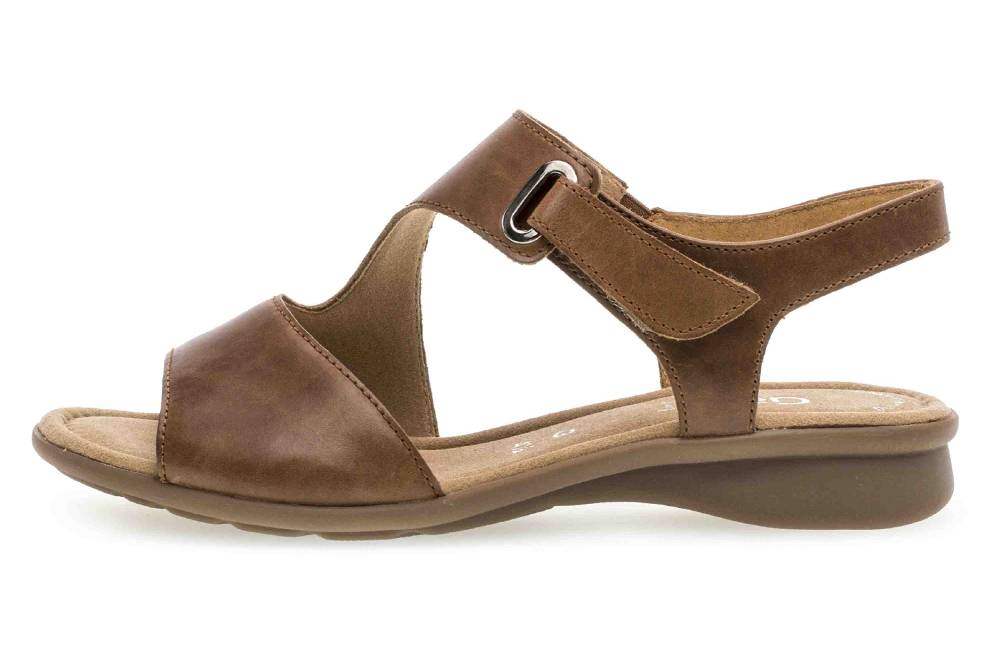 Gabor Comfort Basic Sandaletten in Übergrößen Braun 26.063.54 große Damenschuhe