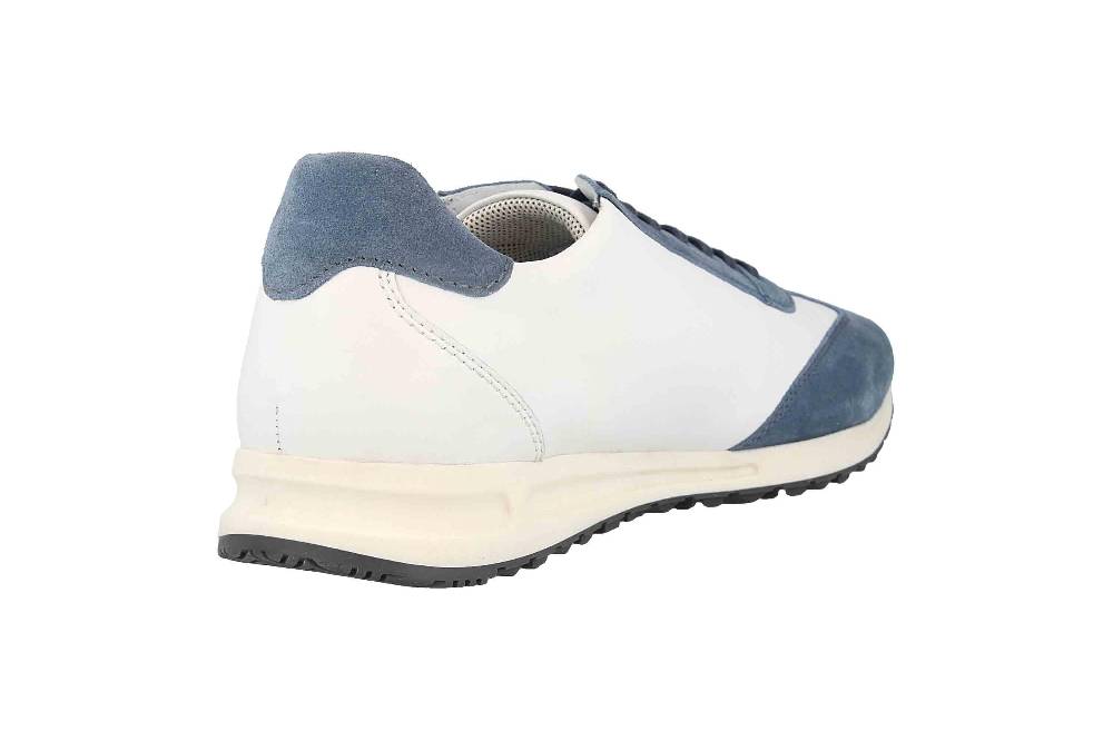 Josef Seibel Thaddeus 11 Sneaker In Übergrößen Mehrfarbig 41411 TE449 093 Große Herrenschuhe