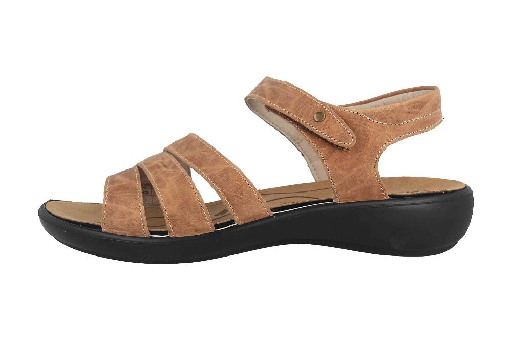 Westland Ibiza 111 Sandalen in Übergrößen Braun 16711 40 240 große Damenschuhe