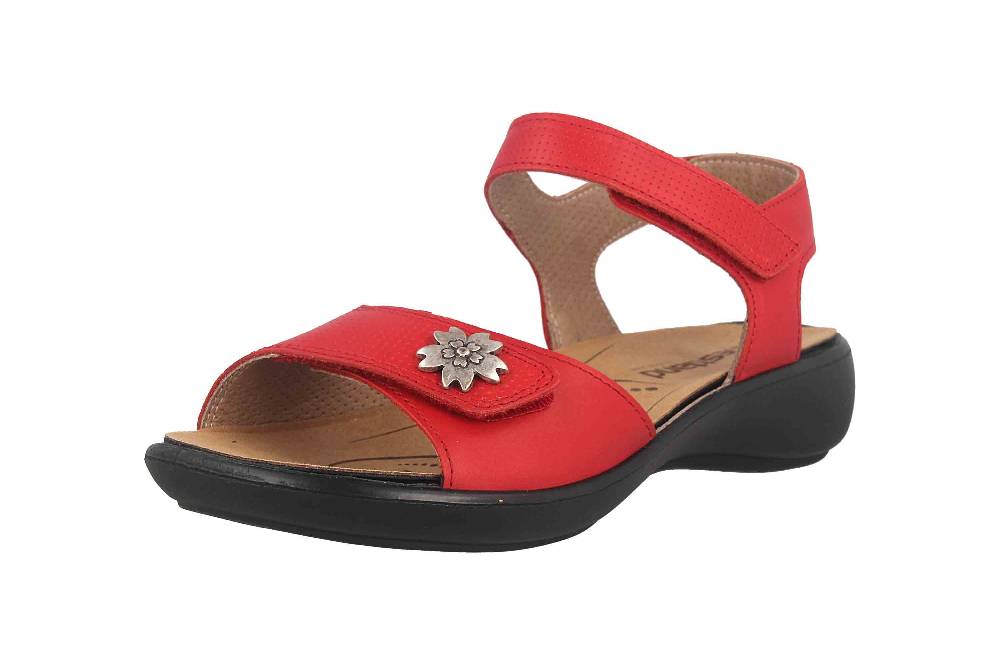 Westland Ibiza 115 Sandalen In Übergrößen Rot 16715 96 400 Große Damenschuhe