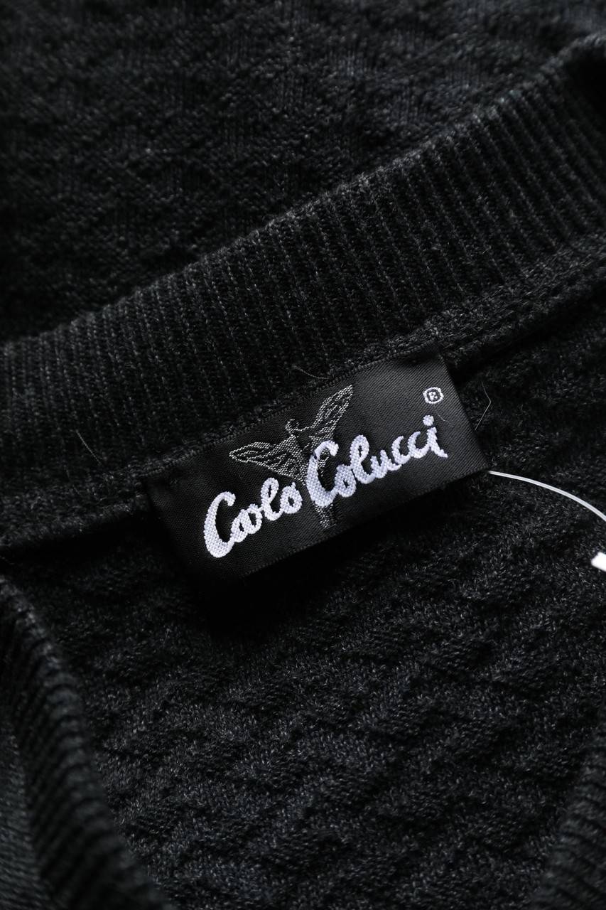 Carou CARLO COLUCCI V-Neck-Pullover Mit Logo-Stickerei