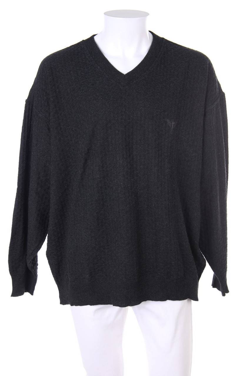 Carou CARLO COLUCCI V-Neck-Pullover mit Logo-Stickerei