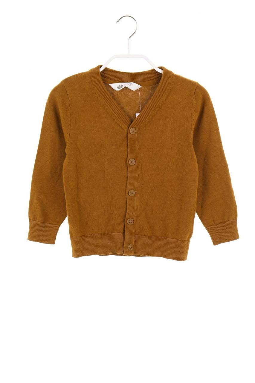 Carou H&M Cardigan