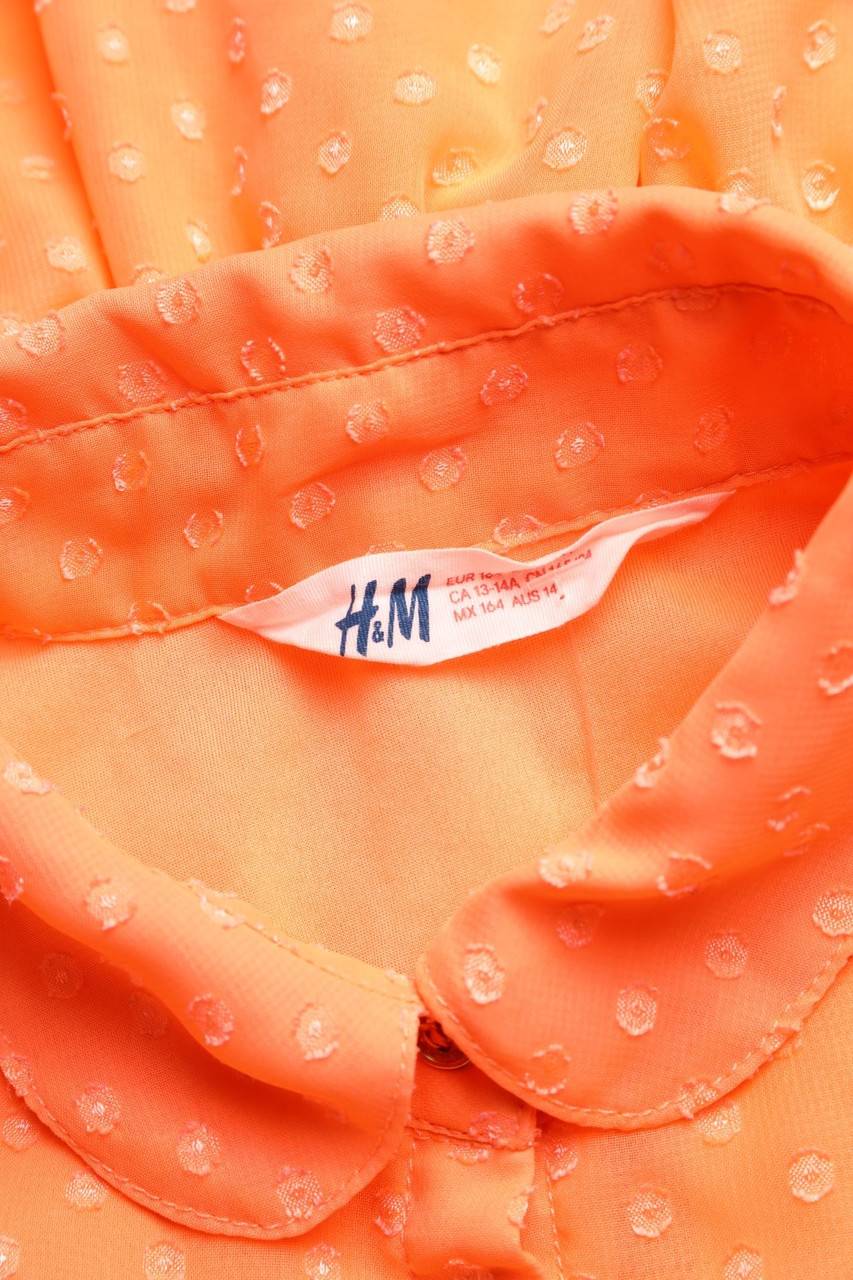 Carou H&M Kleid Mit Bubi-Kragen