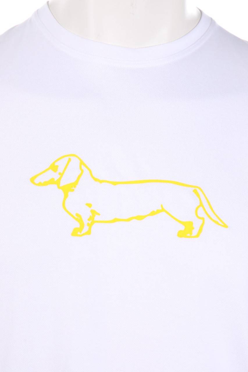 Carou Harmont & Blaine T-Shirt Mit Print