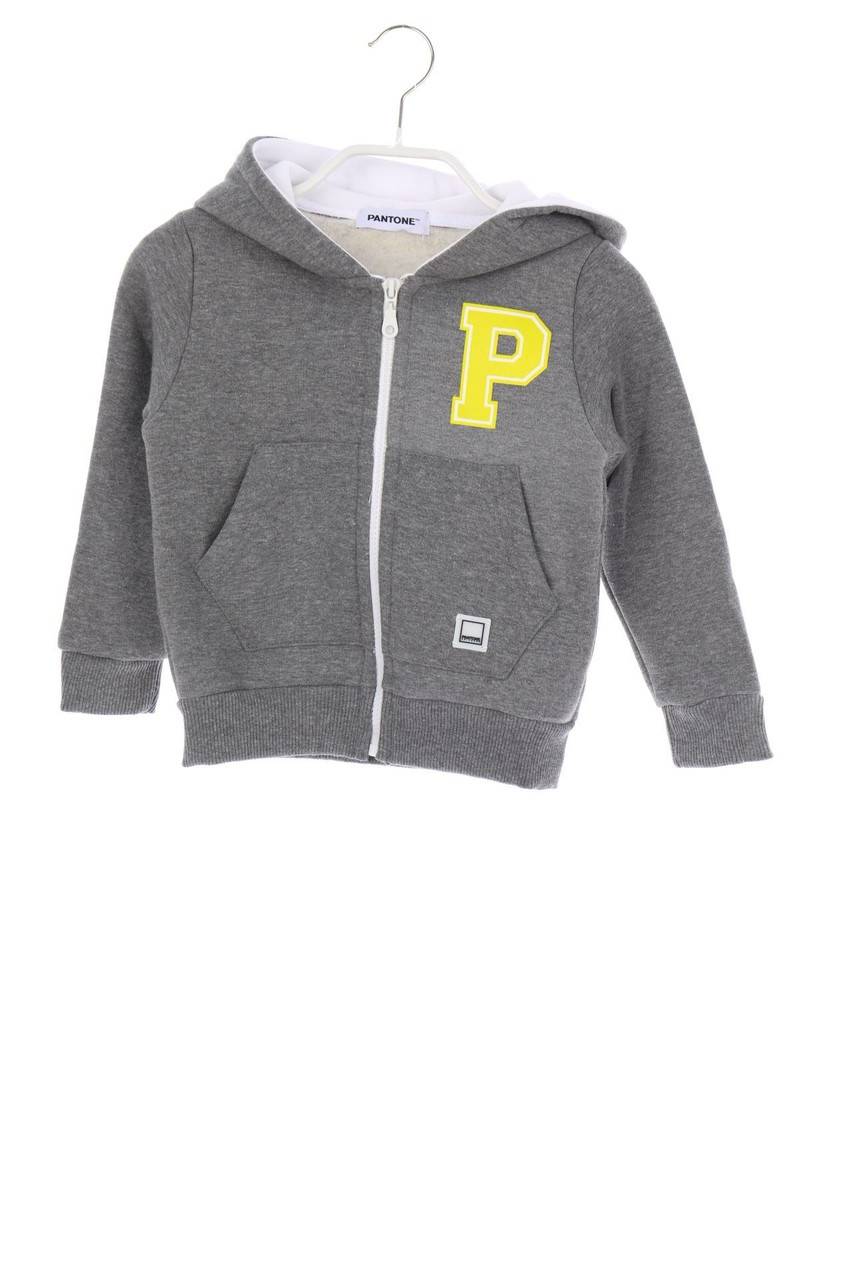 Carou PANTONE Kapuzenjacke mit Print