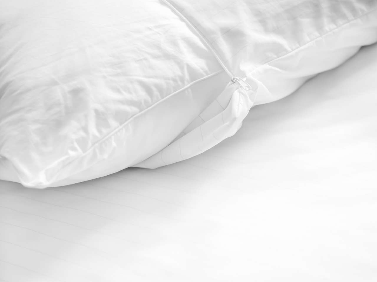 allermed Comforter bedding for allergy sufferers allermed Comforter bedding for allergy sufferers