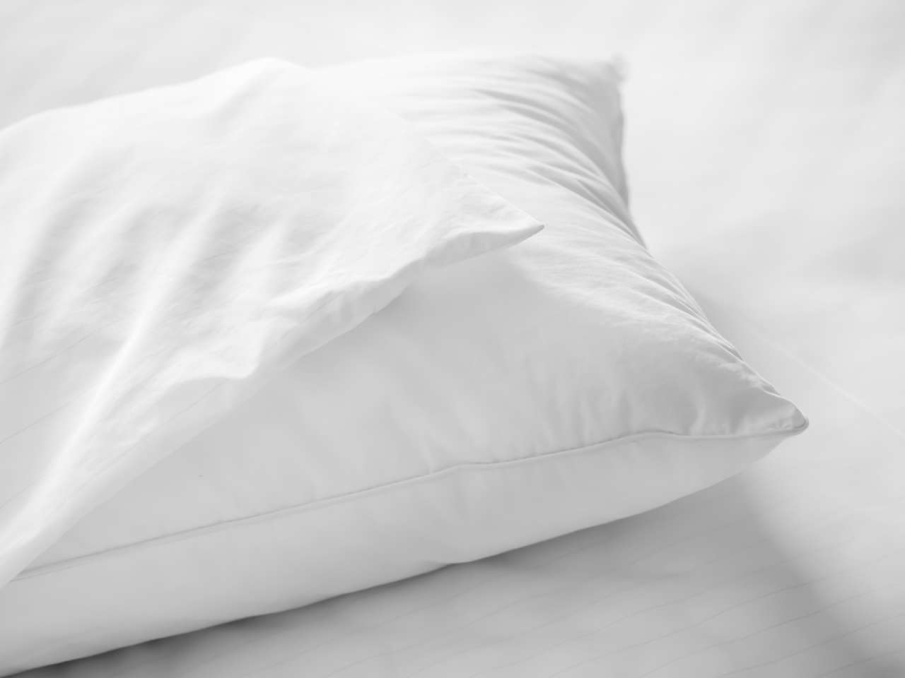 Allermed Allermed Encasing Pillow Mite Cover Pillow