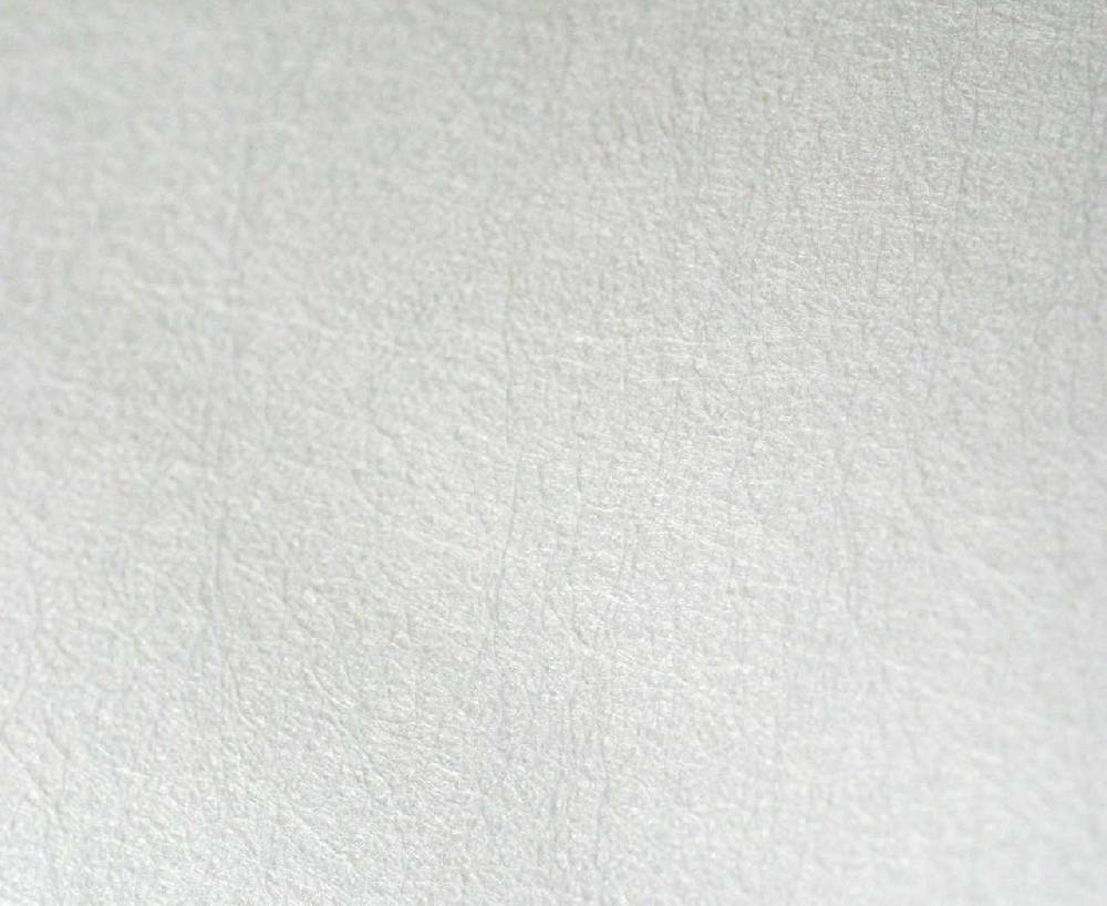 Allermed Allermed Encasing Pillow Mite Cover Pillow