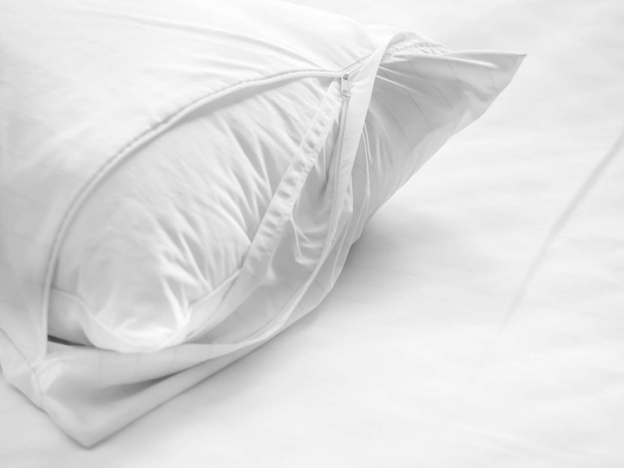 allermed Allermed Encasing pillow mite cover pillow