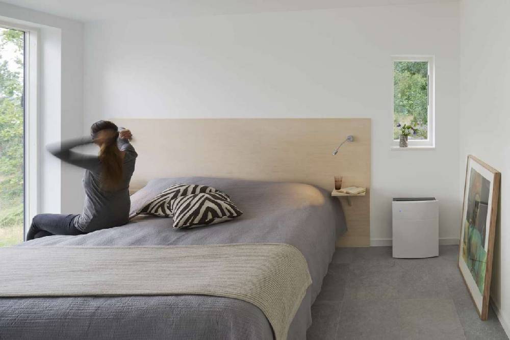 Blueair Compact Air Purifier With Sensors And Wi-Fi Connection