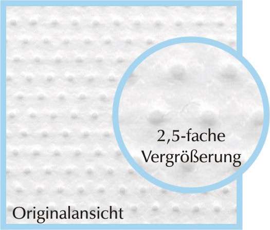 Pulmanova Anti-allergic Mattress Cover