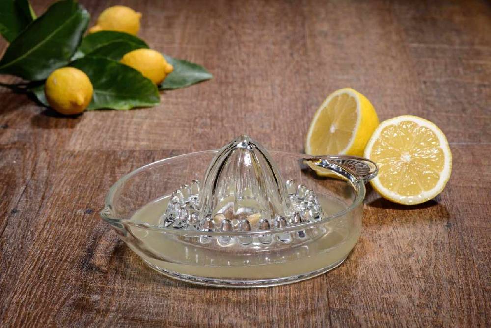 Purenature Juicer Made Of Glass