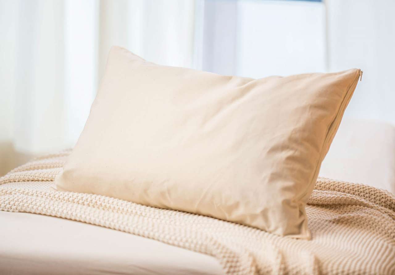Purenature Millet Pillow (certified Organic)